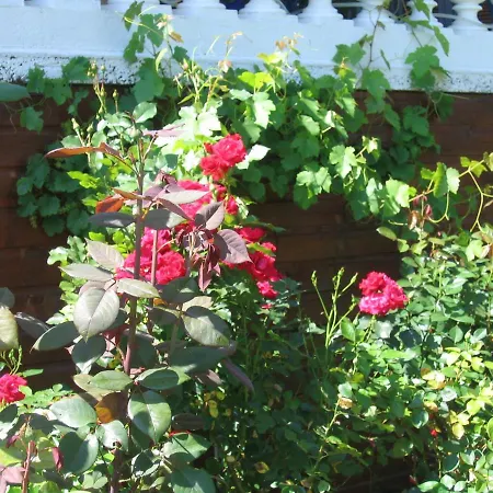 La Maison Jaune Bed and breakfast