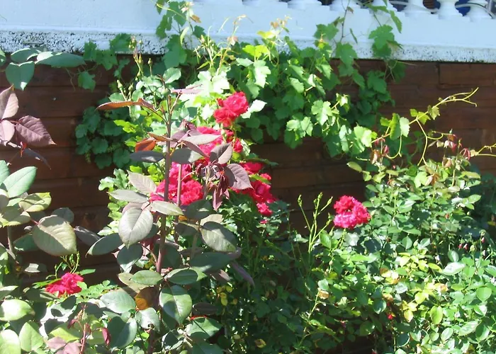 La Maison Jaune Frühstückspension